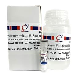 Western一抗二抗去除液（中性，劇烈型）