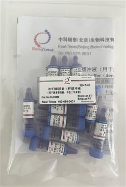 2×TBE尿素上樣緩沖液（用于尿素變性膠，不含二甲苯菁）