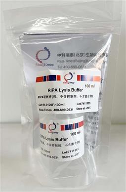 RIPA裂解液(強，不含抑制劑，不含螯合劑)