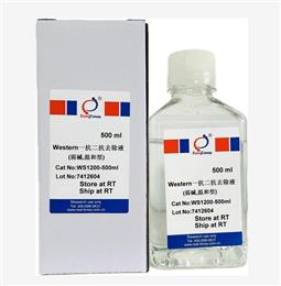 Western一抗二抗去除液（弱堿，溫和型）
